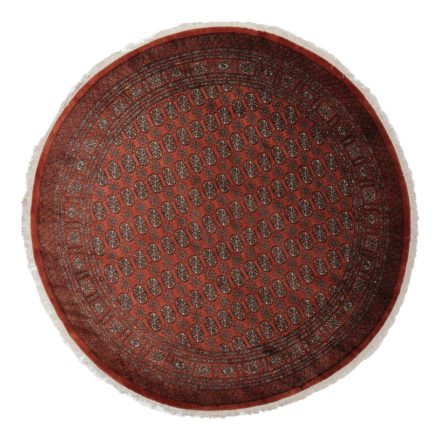 Round rug brown Bokhara 244x246 handmade Pakistani rug